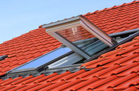 Wootton Fitzpaine roof window